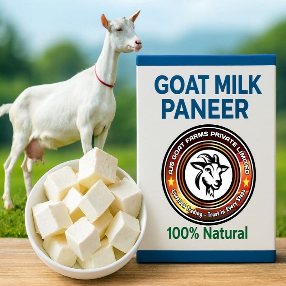 AJS Goat Milk Paneer