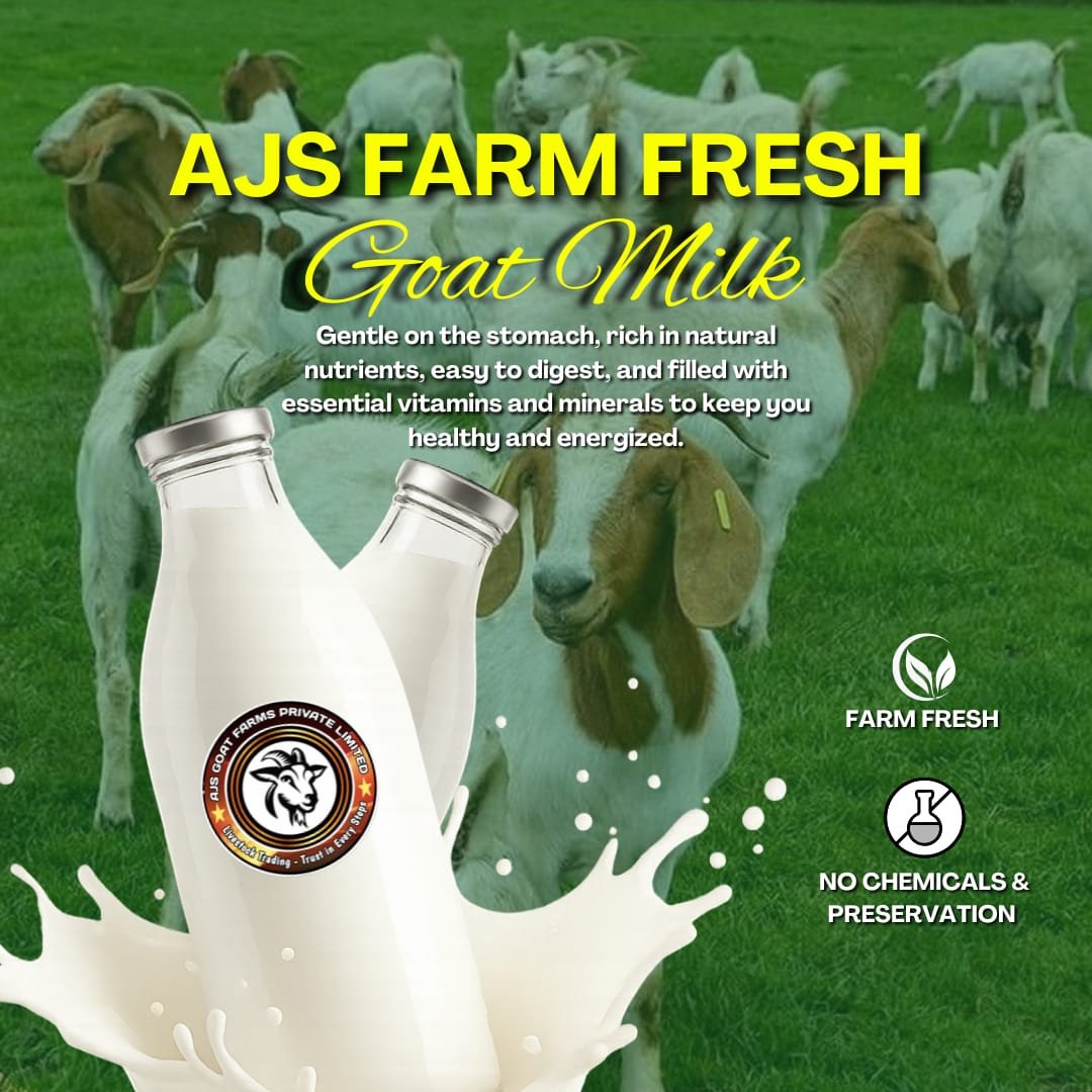 Fresh AJS Goat Milk