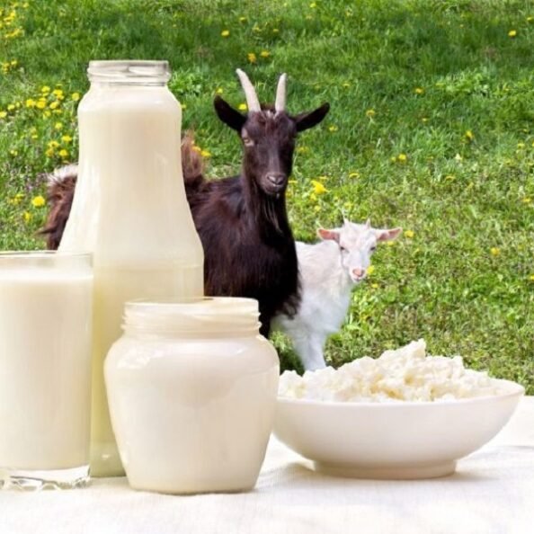 Goat Milk Products new