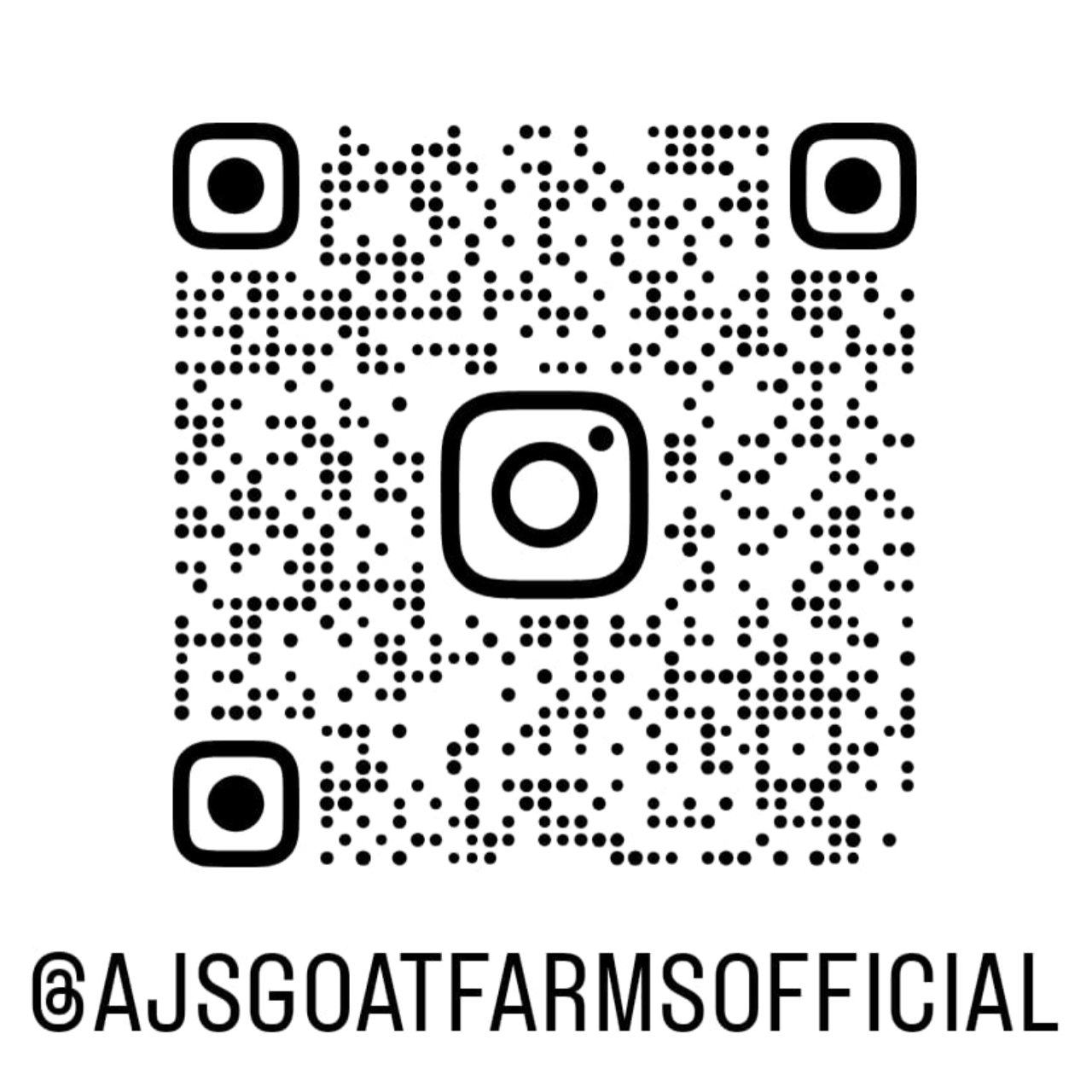 insta qr